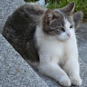 Meet your Posher, Donetta